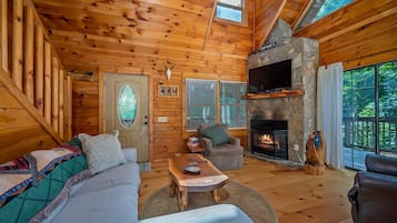 Smart TV, fireplace, video game console, DVD player