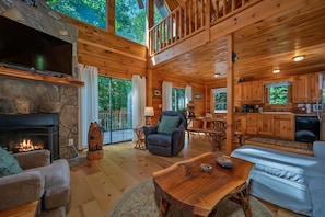 Smart TV, fireplace, video game console, DVD player
