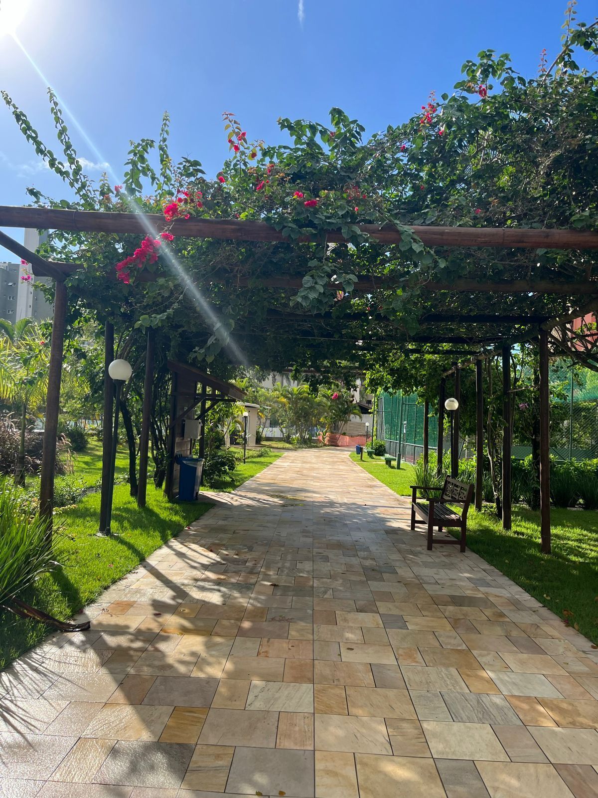 A garden pathway with a pergola covered in greenery and flowers, leading to a bench.