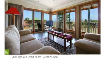 TV, Netflix, DVD player, books