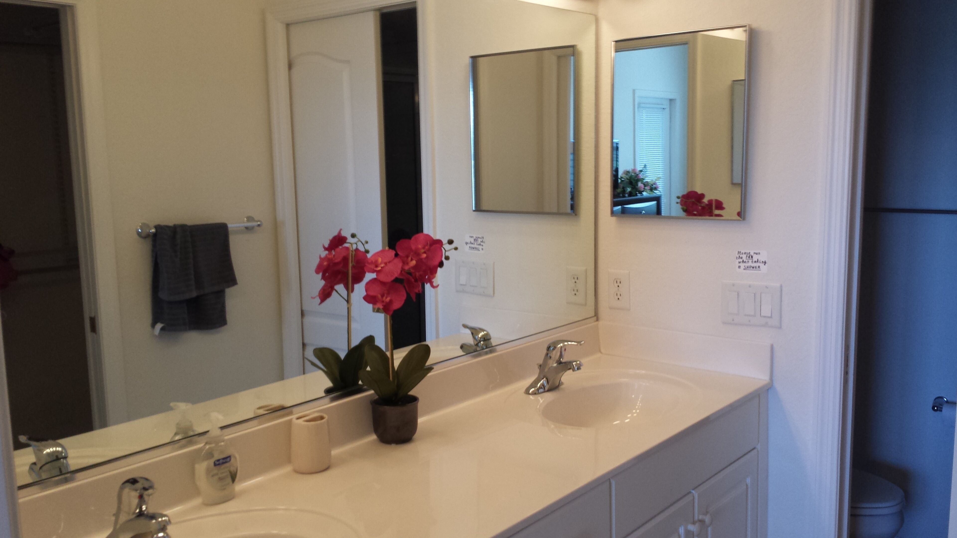 A bathroom with a white sink, a mirror, and a potted orchid.