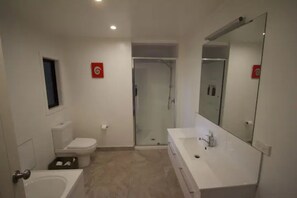 Bathtub, hair dryer, soap, toilet paper