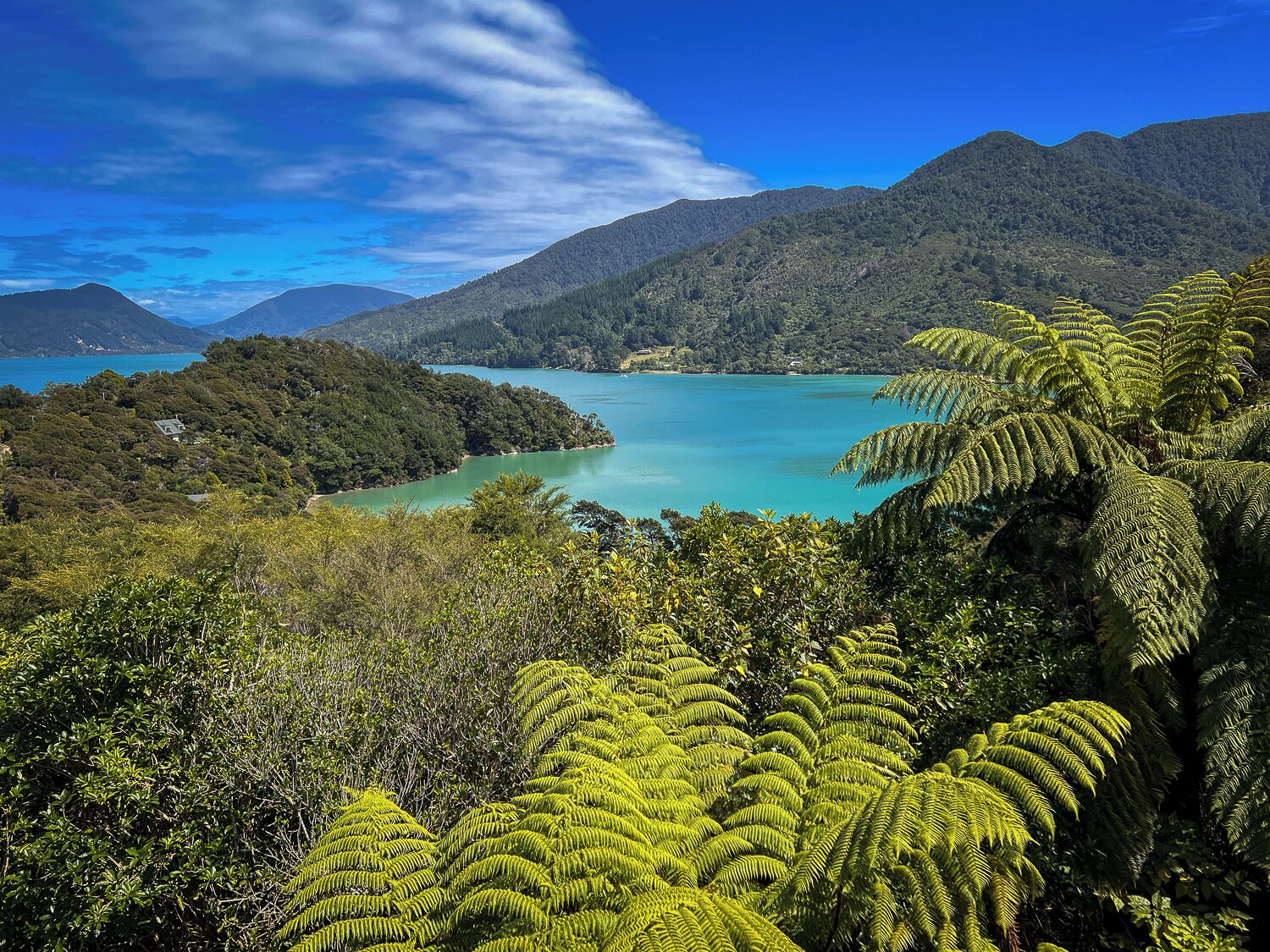 Un paysage côtier avec un lac, une végétation luxuriante et des montagnes en arrière-plan.
