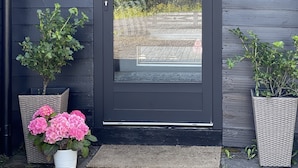 Una puerta negra con un panel de vidrio, dos macetas con flores rosadas y una vista de un jardín a través del vidrio.