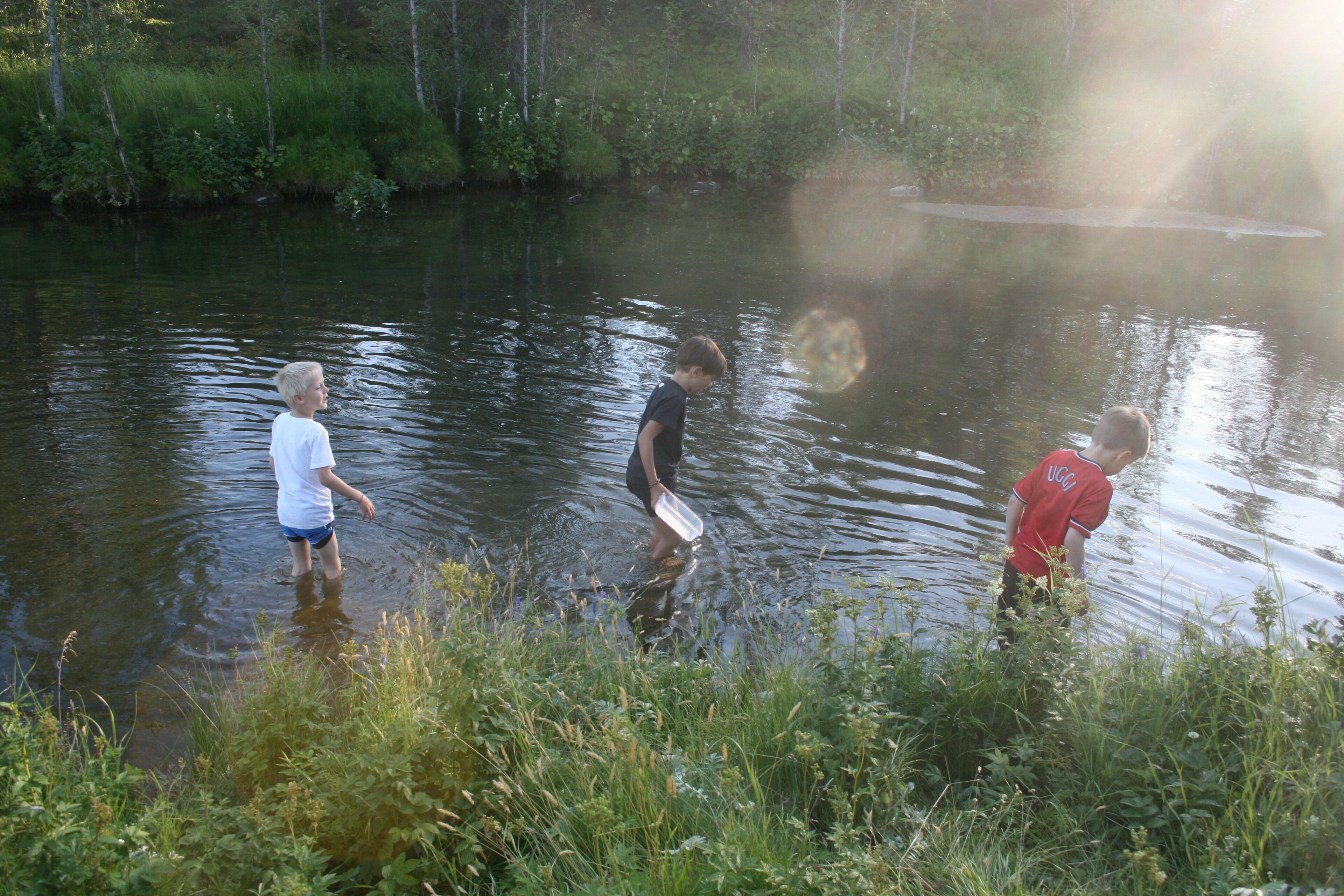 Three children playing in a body of water surrounded by greenery.