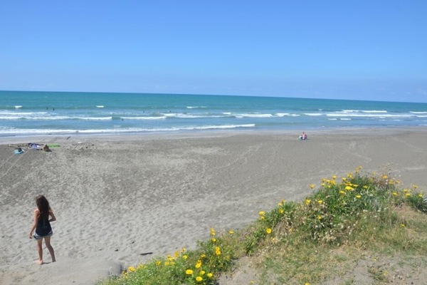 In Strandnähe, Strandtücher