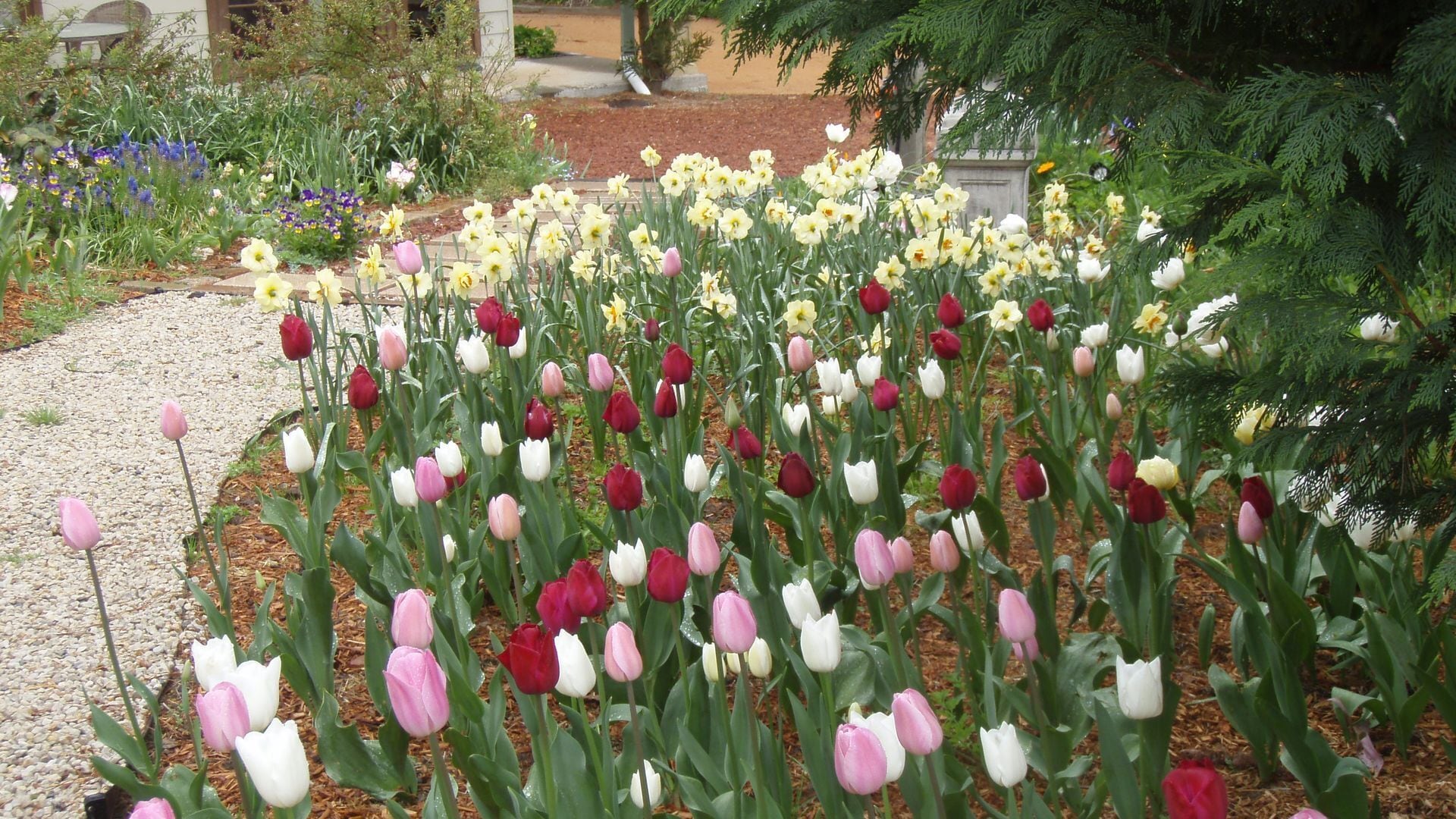 Boendeområde