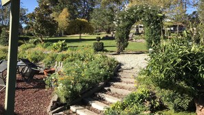 A garden with a wooden pathway leading to a gazebo, surrounded by various plants and trees. - Rydal Cottage (Min 2 night stay) (Rydal)