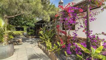 Terrein van de accommodatie