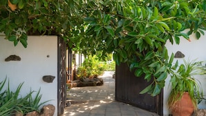 A pathway leading through a garden area with a variety of plants and a potted plant on the right. - Finca Botanico Secret Garden - Private Tropical Garden, BBQ, Outdoor Spa Shower (Guatiza)