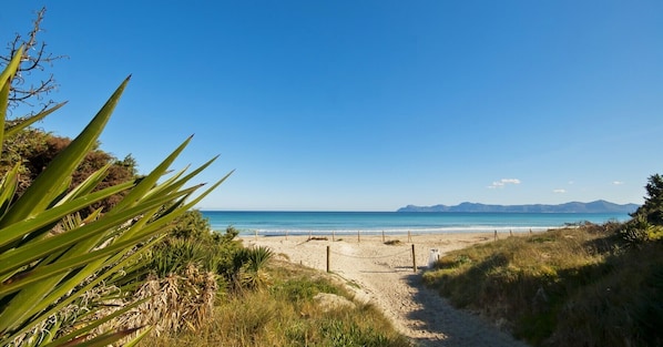 Plage à proximité