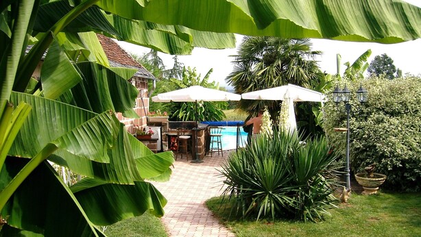 A garden patio area with a pool, outdoor furniture, and lush greenery. - Country Cottage + Fabulous Views. PRIVATE Exclusive Pool.  WIFI.  Pets Welcome! (Ayen)