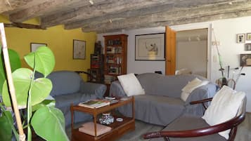 Télévision, cheminée, lecteur de DVD, livres