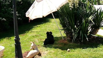 Enceinte de lâhĂ©bergement