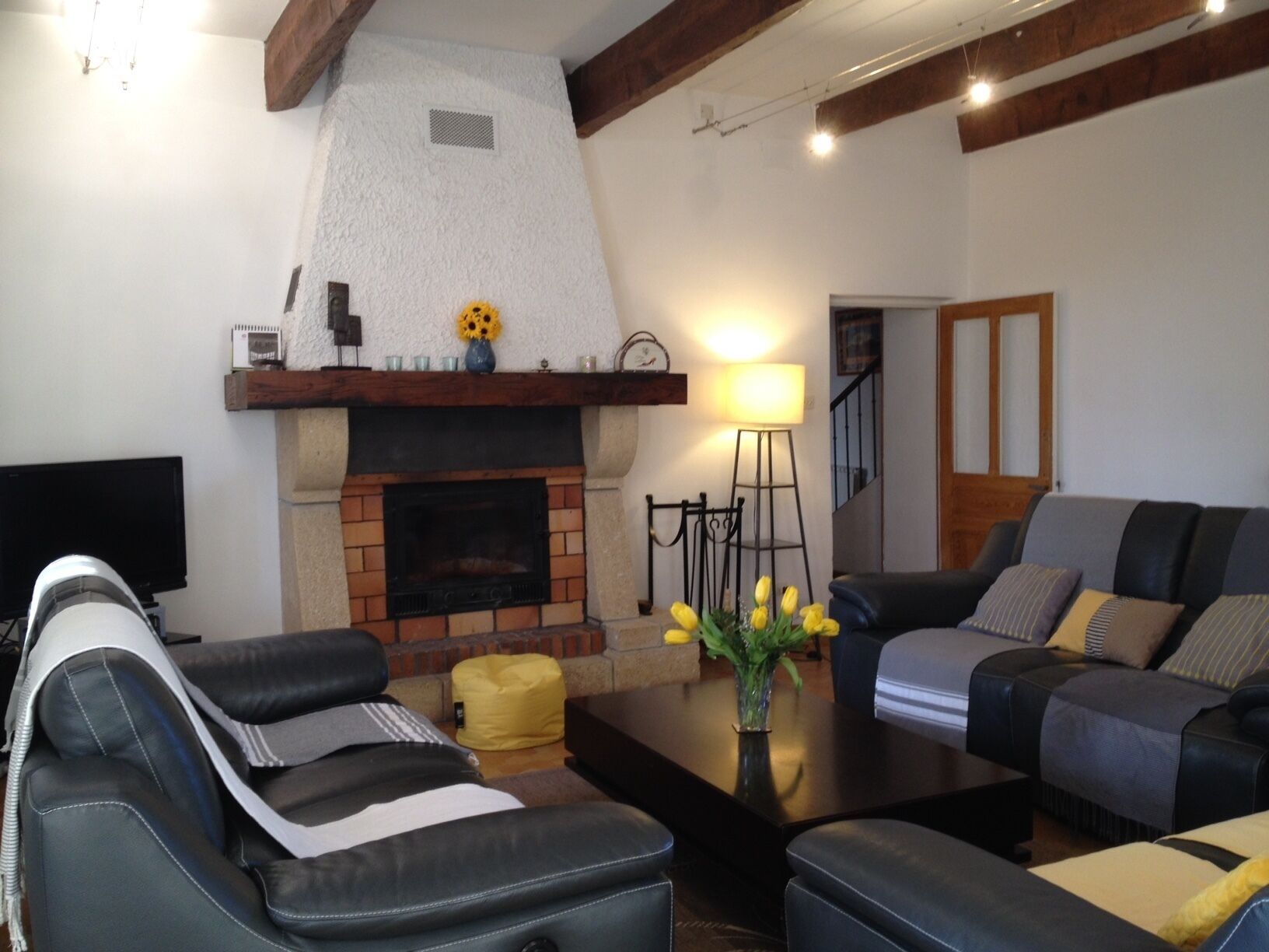 Televisión, chimenea, reproductor de DVD, libros