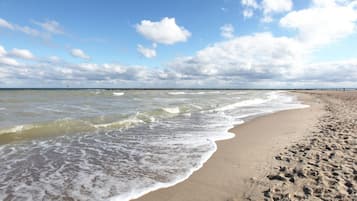Plage à proximité