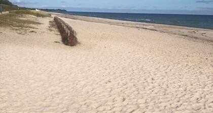 House m.WLan, Sky, near the beach, renovated, dogs welcome, fully fenced