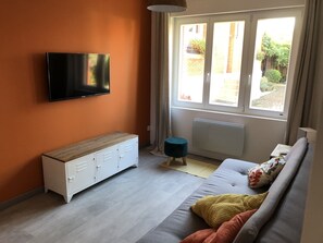 Télévision, lecteur de DVD, livres, vidéothèque
