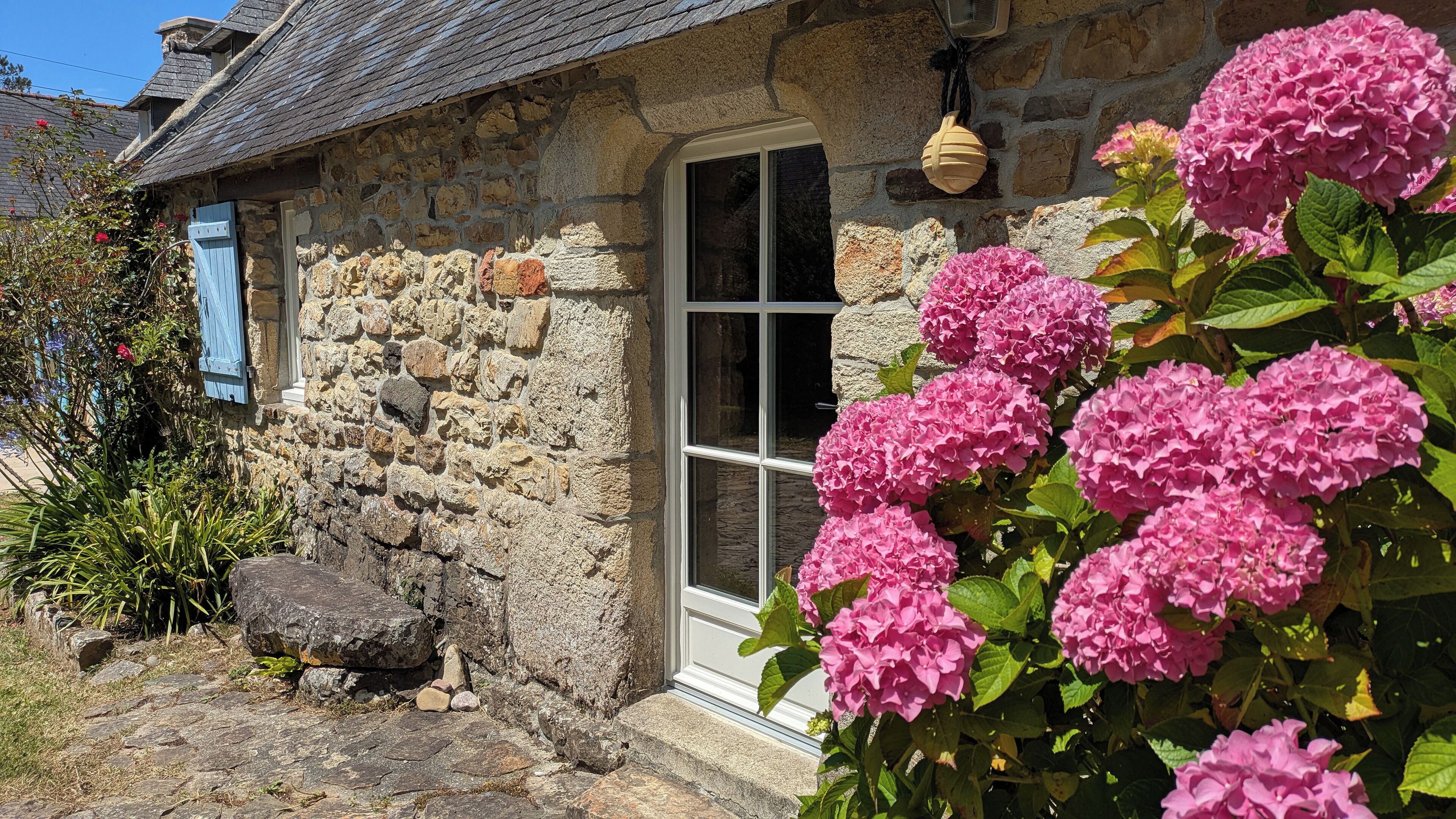 Una casa de piedra con una ventana y una puerta, rodeada de arbustos de hortensias rosas.