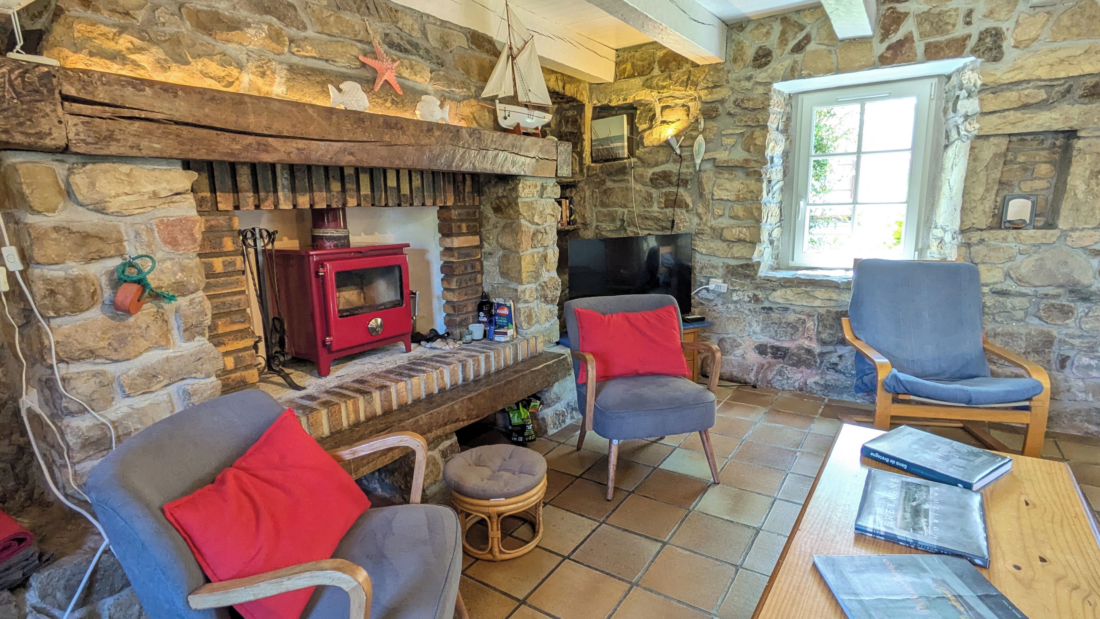 Télévision, cheminée, lecteur de DVD, livres