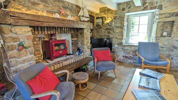 Télévision, cheminée, lecteur de DVD, livres