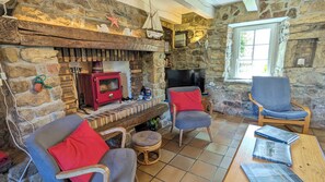 TV, fireplace, DVD player, books