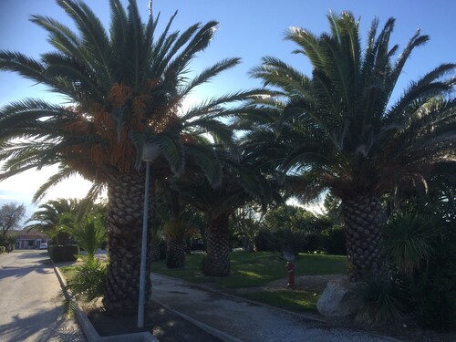 Haus am Wasser, großer Garten WIFI und Pool Le Barcarès