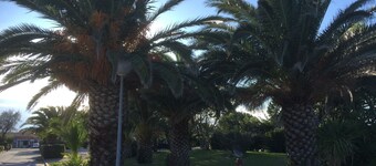 House by the water, large garden WIFI and pool Le Barcarès