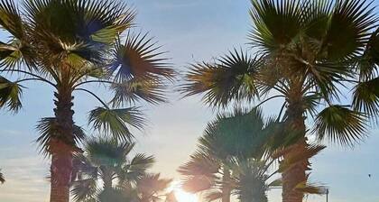 appartement balneaire