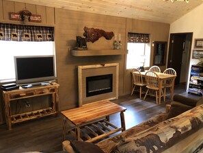 TV, fireplace, DVD player