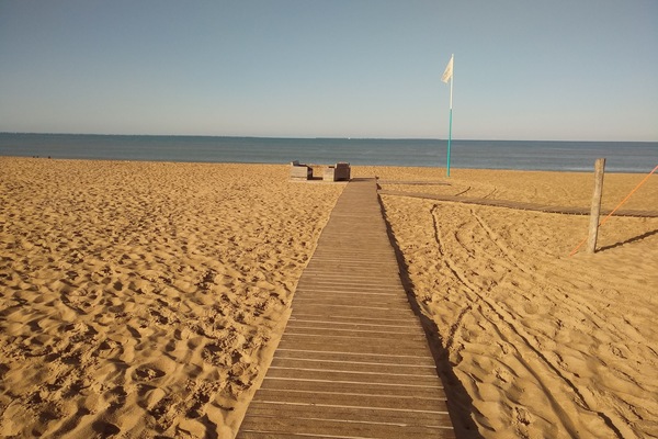 Ranta lähistöllä, aurinkotuoleja