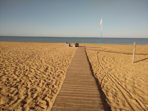Playa en los alrededores y camastros 