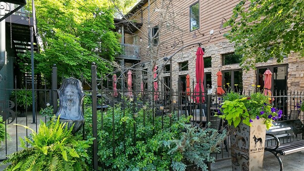 A courtyard with a metal fence, potted plants, and outdoor seating with red umbrellas.