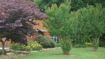 Área da propriedade