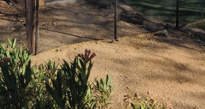 Acre+ lot, country quiet, city close, pool can be heated, BBQ, pond, firepit.