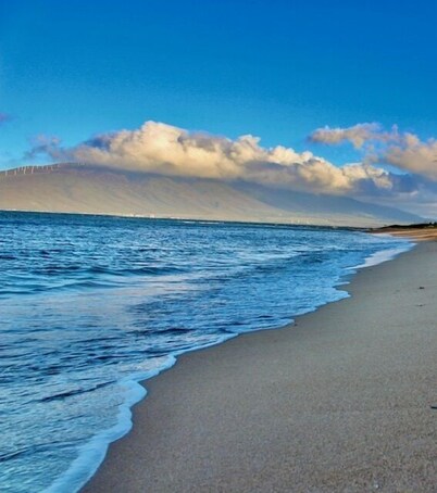 BEACHFRONT MAUI KIHEI HOUSE