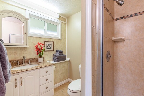 A bathroom with a sink, vanity, toilet, and a shower area.