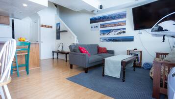 Smart TV, fireplace, DVD player, books