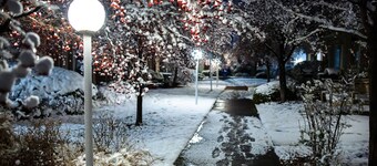Ski at Snowbasin/Powder Mountain - 25th Street Historic Ogden