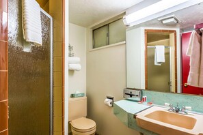 Bathroom - Econo Lodge Idaho Falls (Idaho Falls)