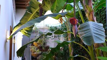 花園
