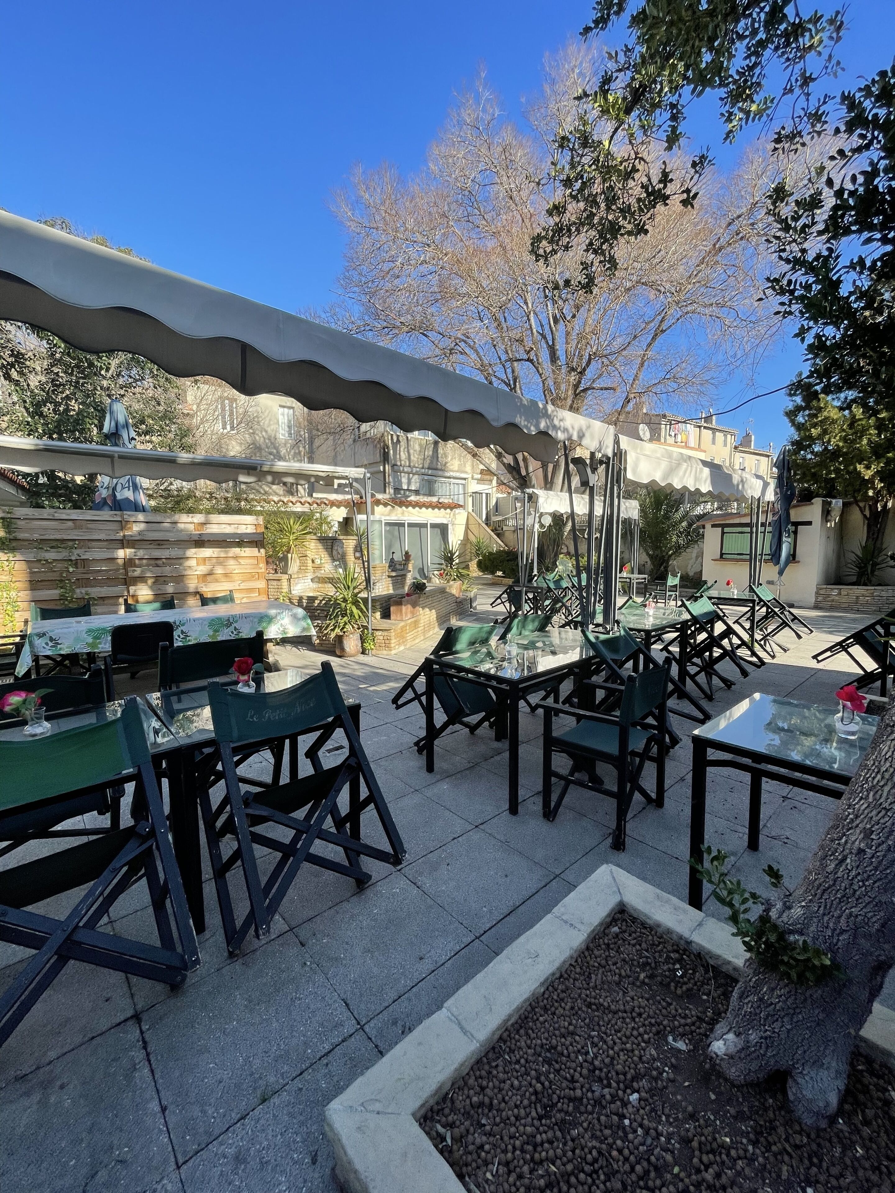 Una veranda esterna con tavoli e sedie, una scultura arborea decorativa e un cielo azzurro limpido.