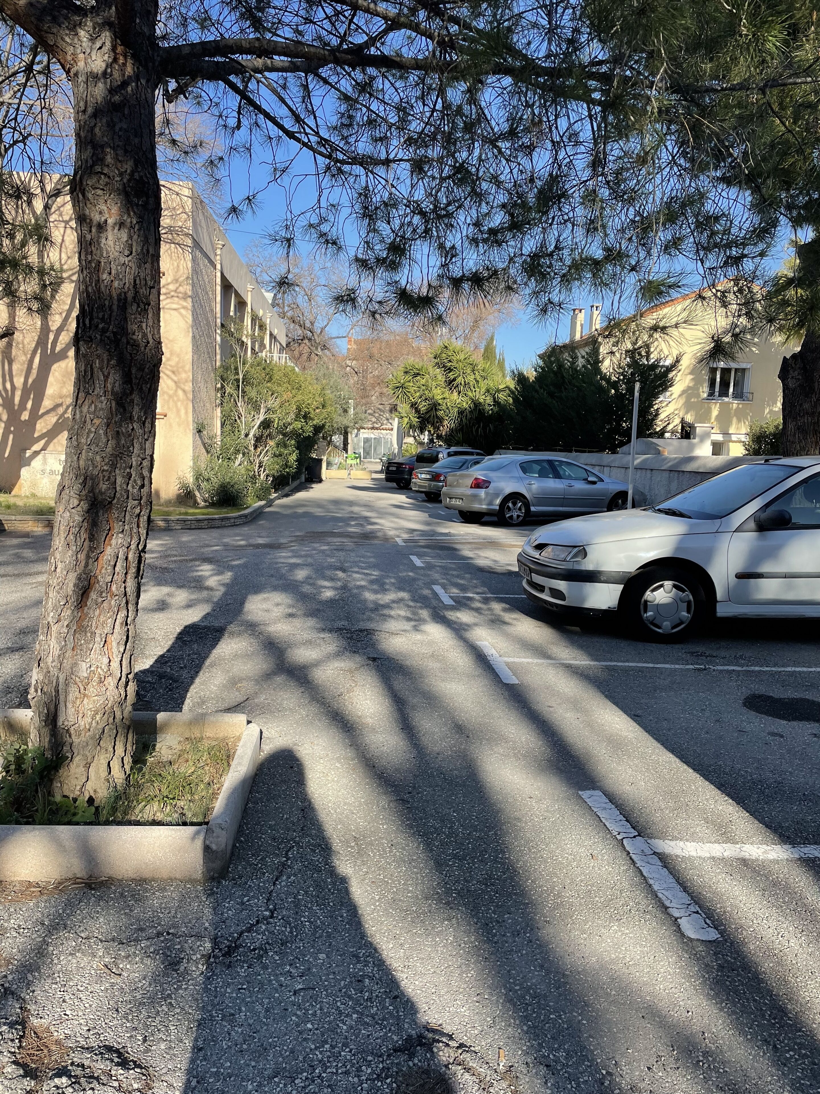 Un estacionamiento con coches, un árbol y edificios al fondo.