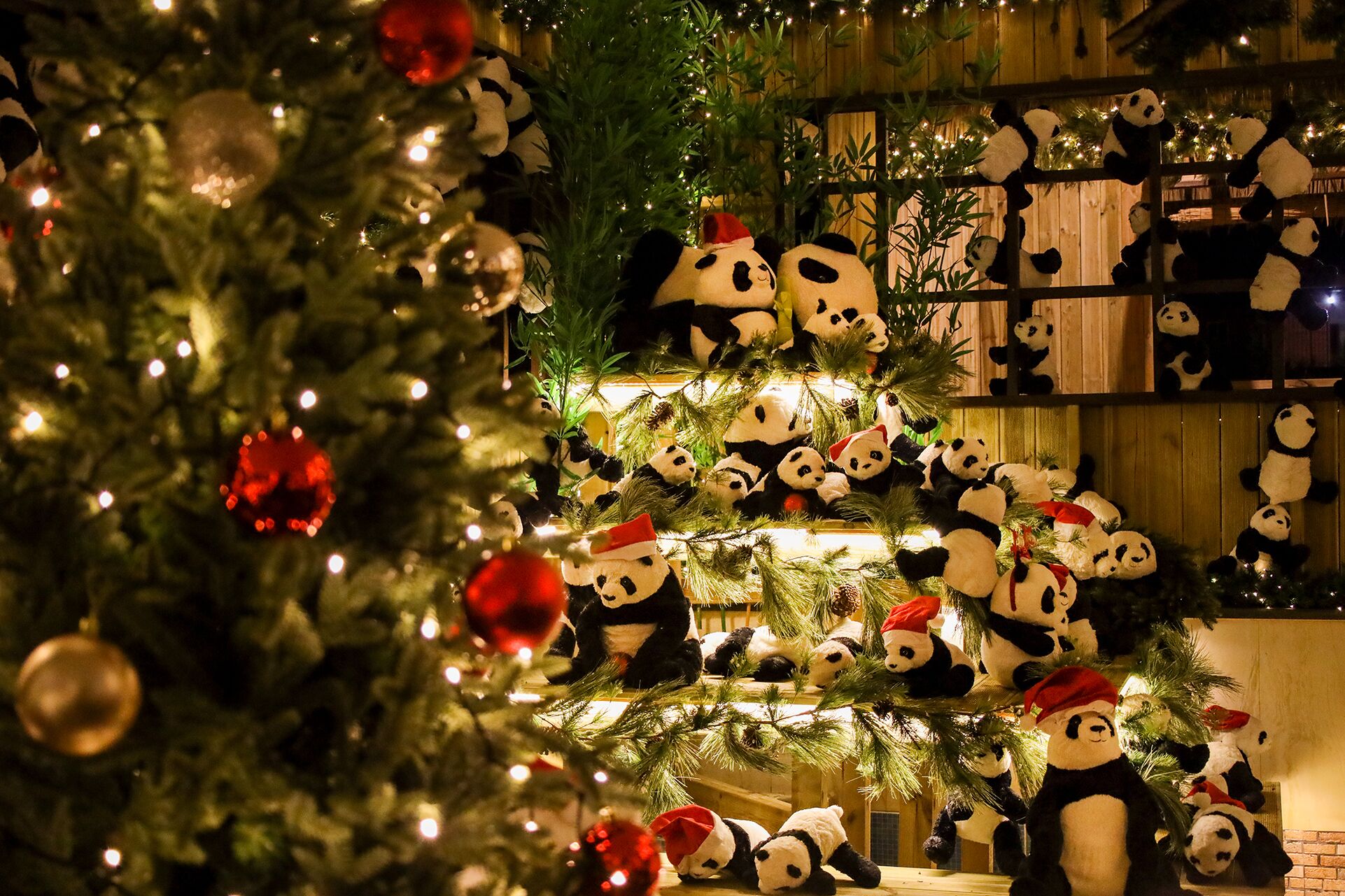 Un árbol de Navidad con adornos de panda y luces.