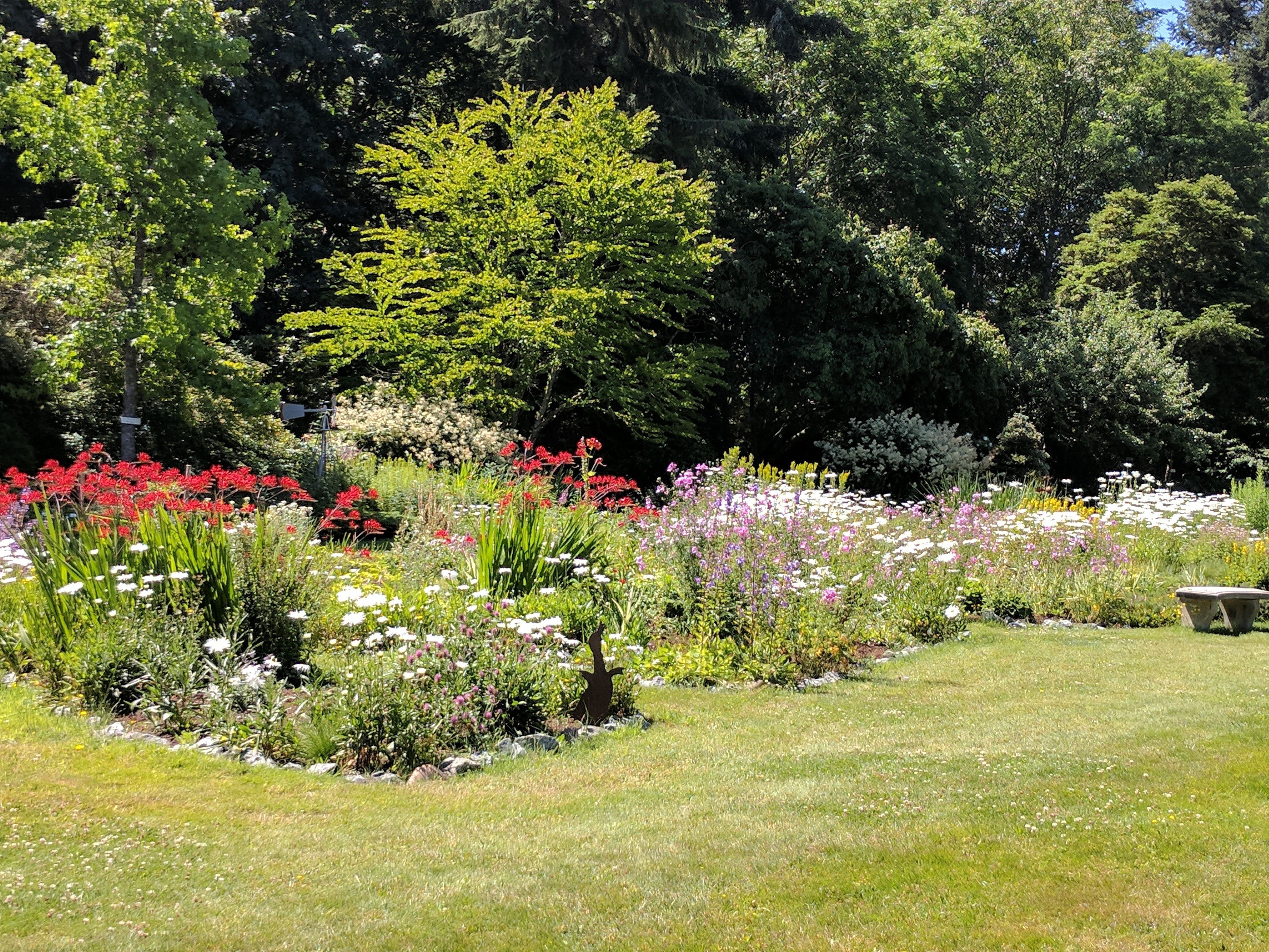 A garden with various flowering plants and a stone bench.
