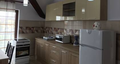 accommodation apartment Simona Brasov