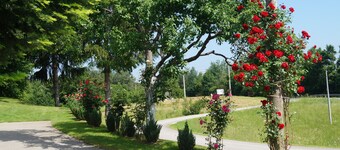 Apartment Drago, Rakovica