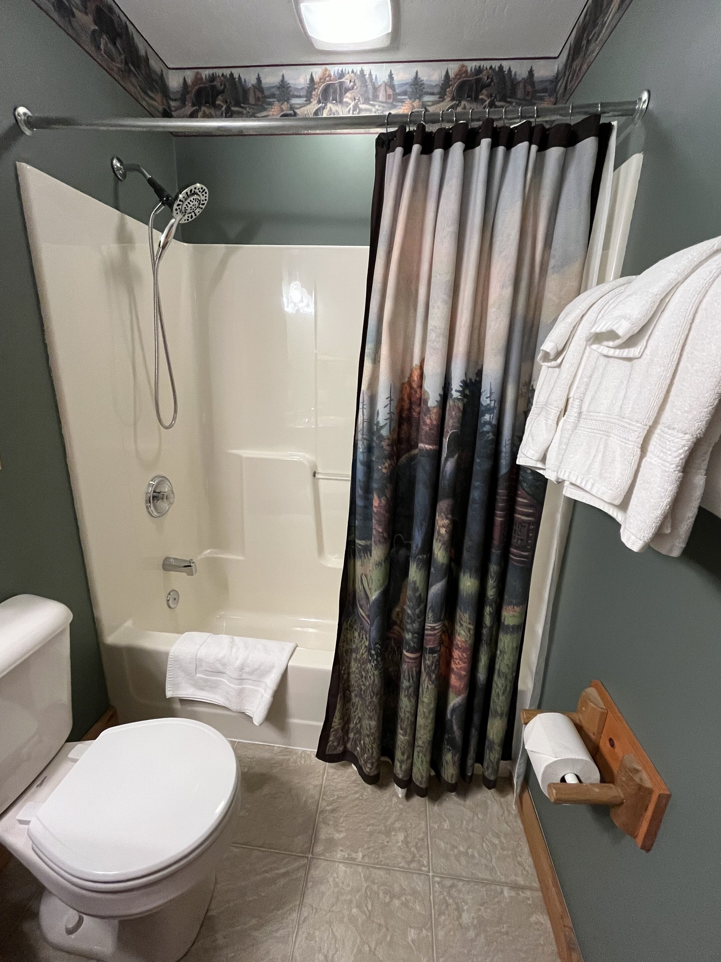 A bathroom with a shower, toilet, and bathtub.