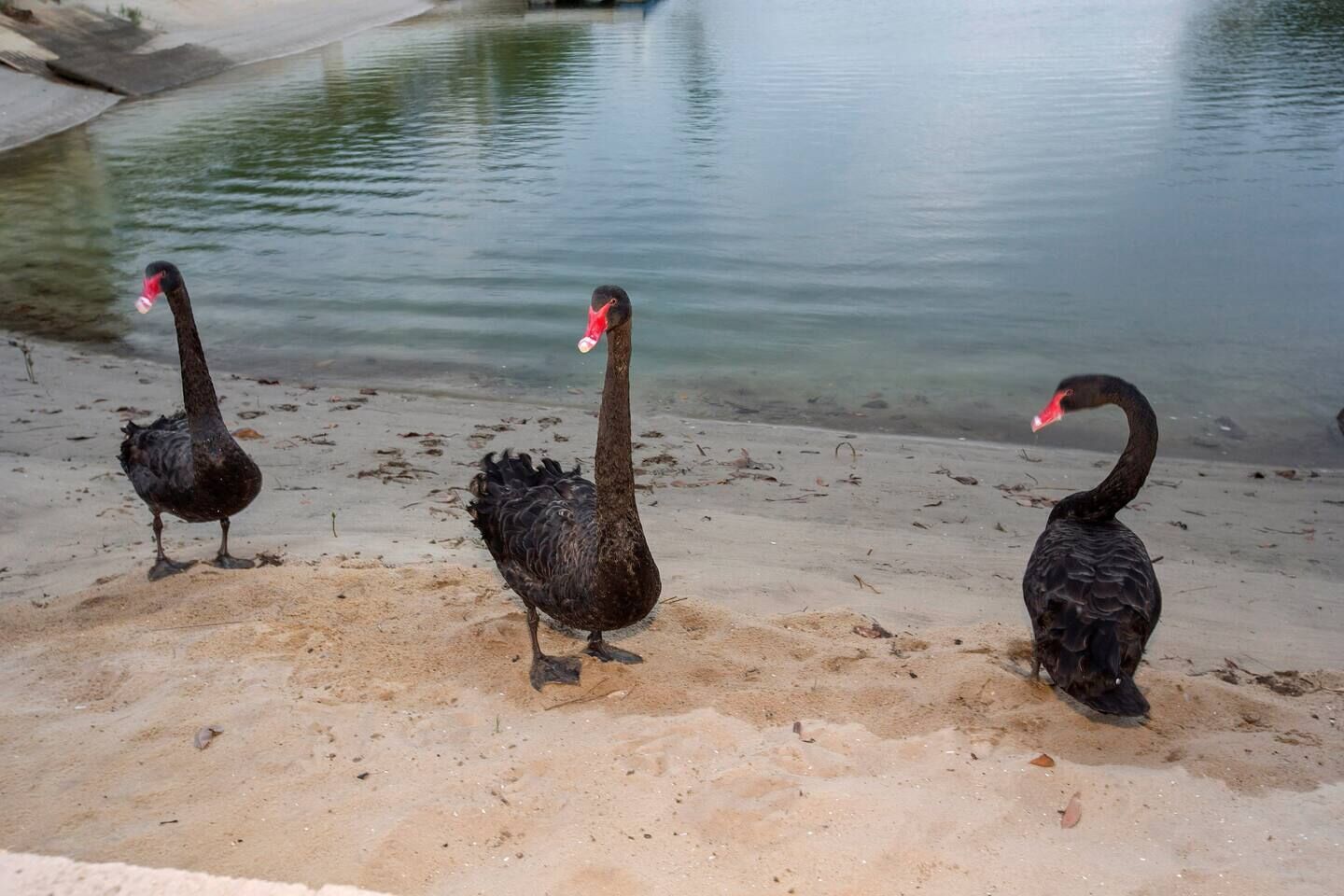 Bliss On Blue Waters — image 3