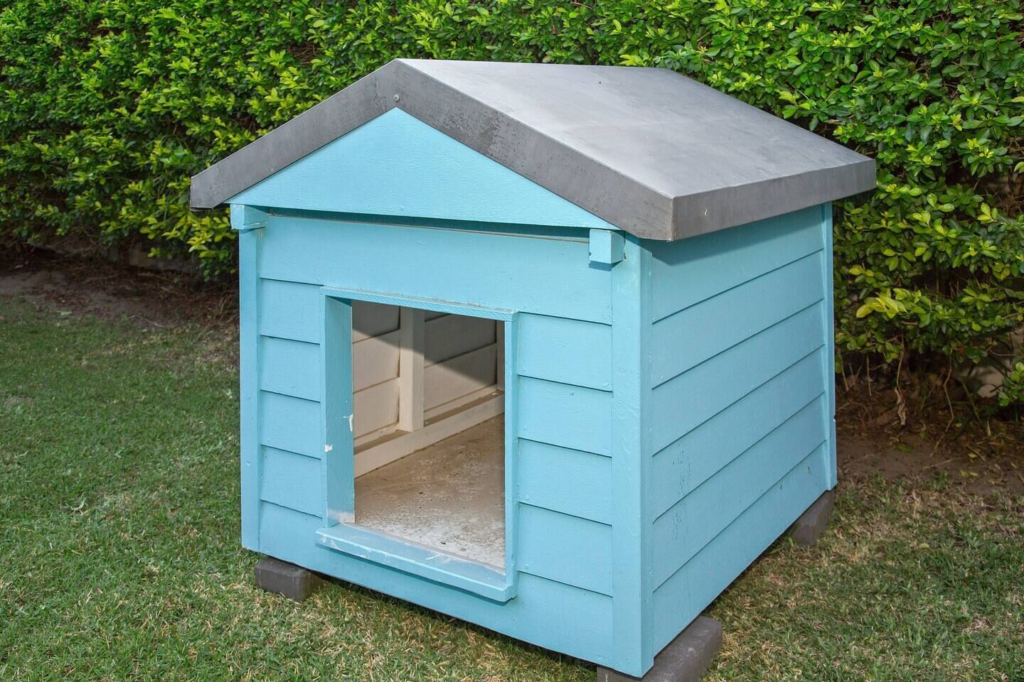 Bliss On Blue Waters — image 4